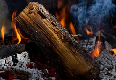 [fpdl.in]_fireplace-wood-close-up-fire_236836-17646_medium